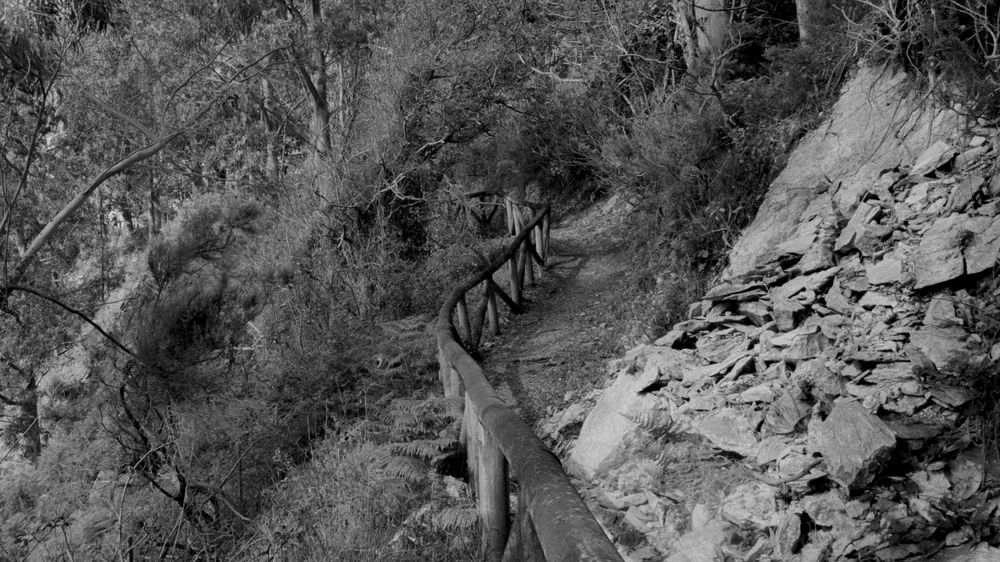 Senda de madera bajando entre la roca, en blanco y negro