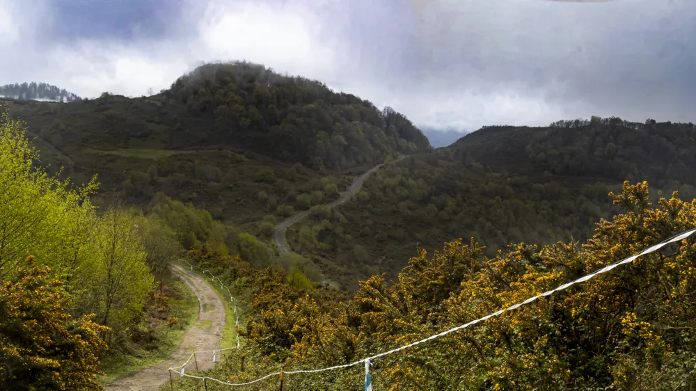 Camino de montaña entre la niebla y el tojo